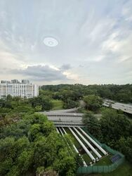 Blk 211 Petir Road (Bukit Panjang), HDB 5 Rooms #598462131